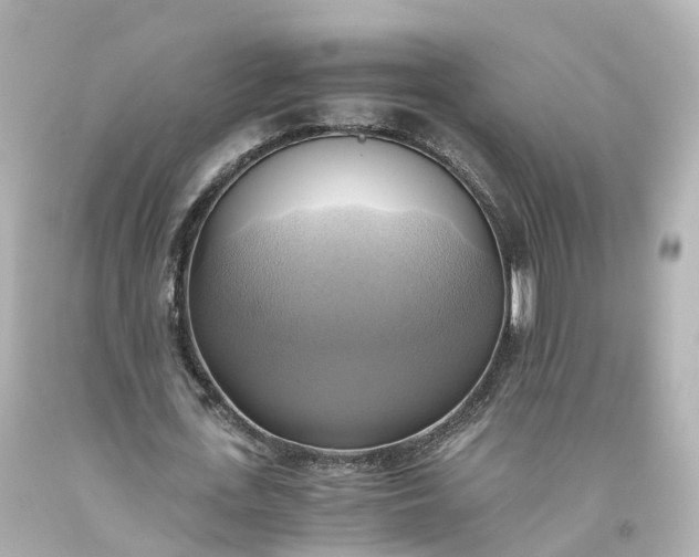 X0000093610723200710291204