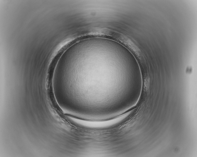 X0000093610724200710291204