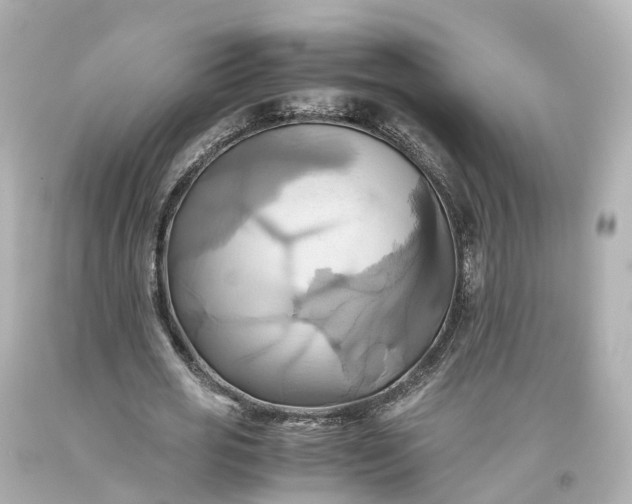 X0000093610725200710291204