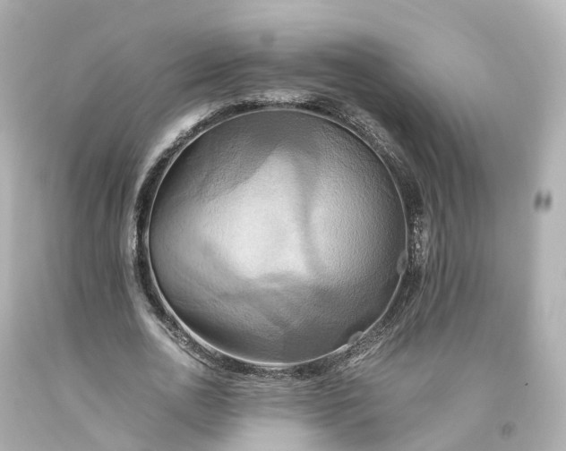 X0000093610726200710291205