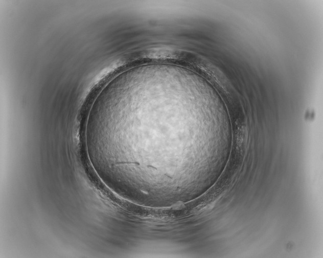 X0000093610727200710291205