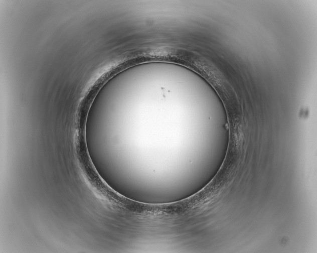 X0000093610728200710291205