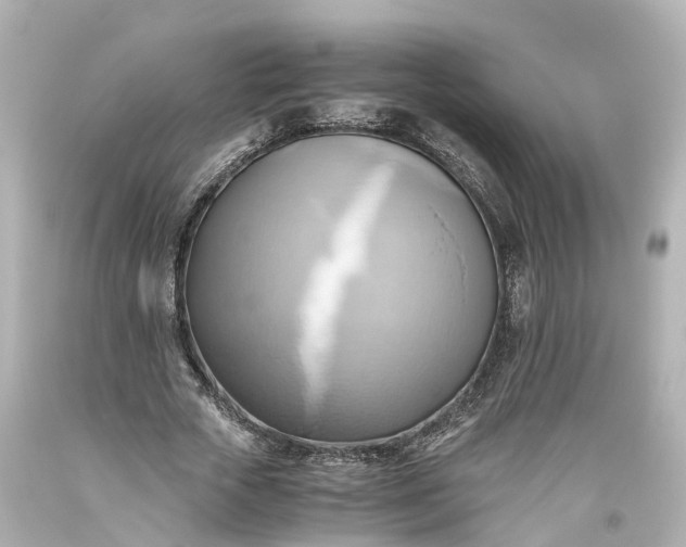 X0000093610729200710291205