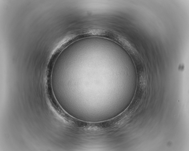 X0000093610730200710291205