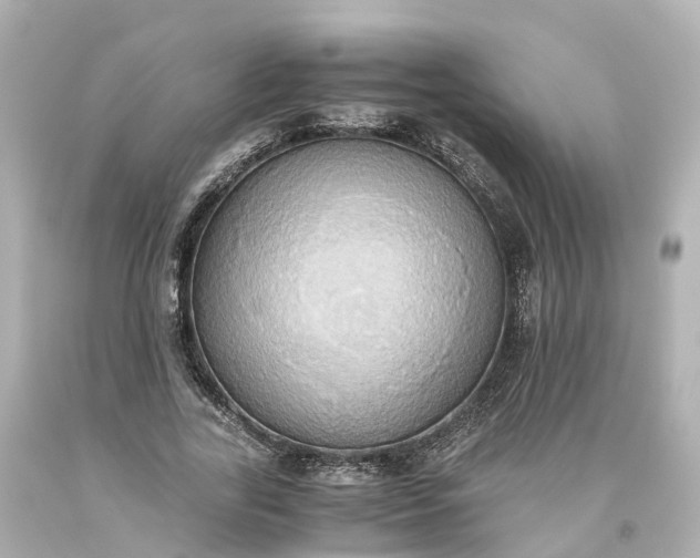 X0000093610731200710291205