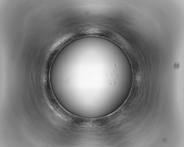 X0000093610732200710291205
