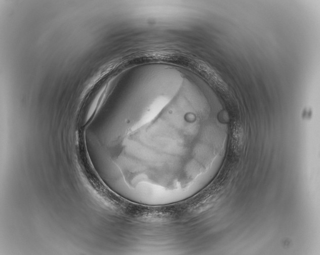 X0000093610734200710291205