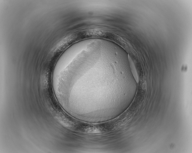 X0000093610735200710291205
