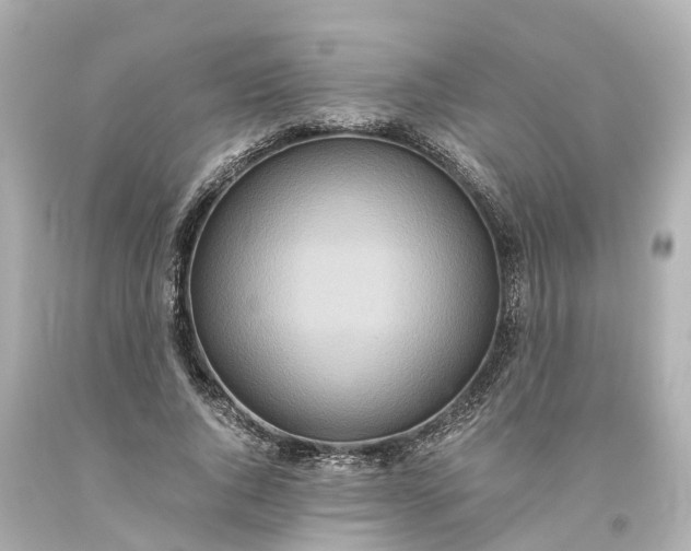 X0000093610736200710291205