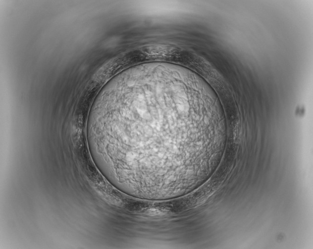X0000093610737200710291205