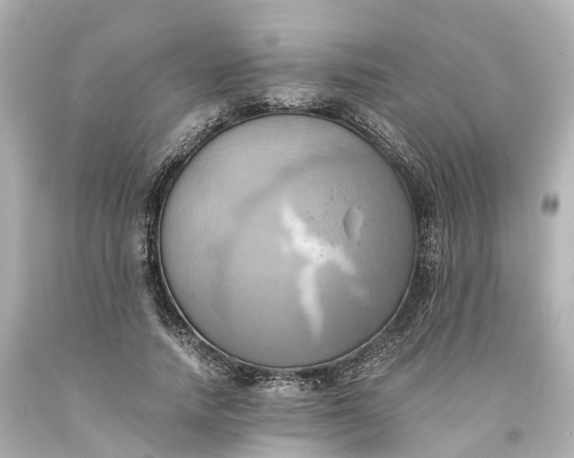 X0000093610738200710291205