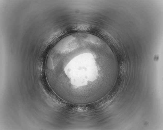 X0000093610739200710291205