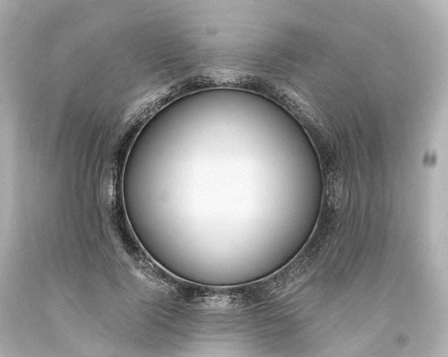 X0000093610740200710291205