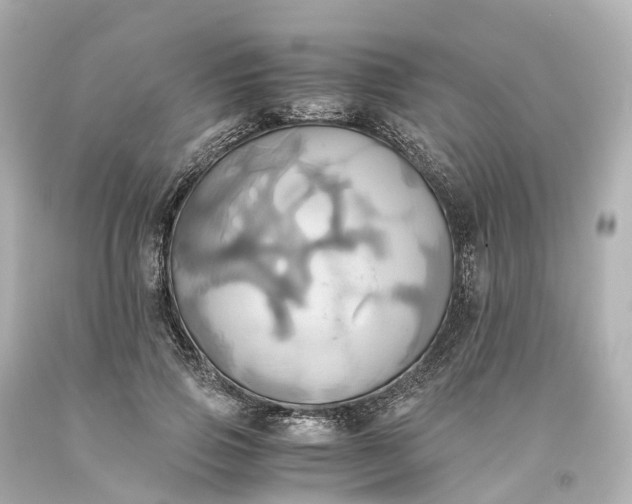 X0000093610741200710291205