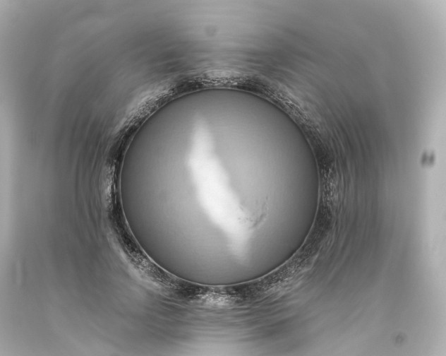 X0000093610742200710291205