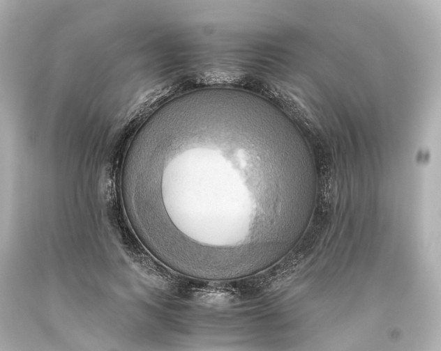 X0000093610743200710291205