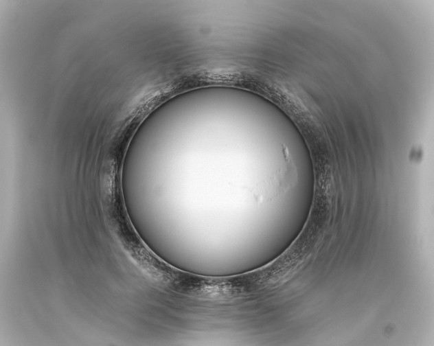 X0000093610744200710291205