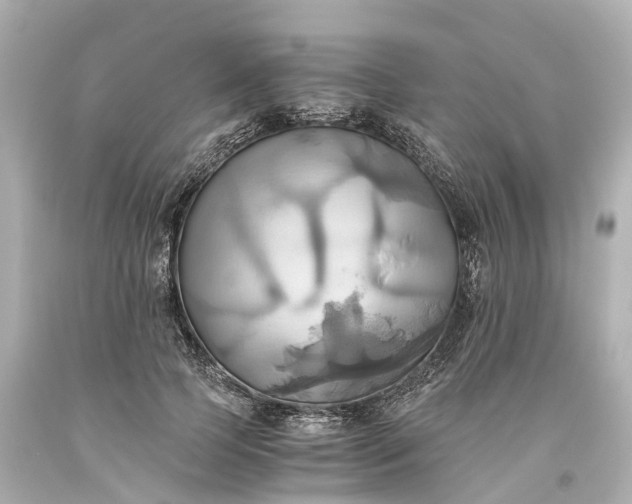 X0000093610745200710291205