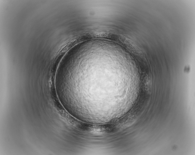 X0000093610746200710291205
