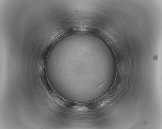 X0000093610747200710291205