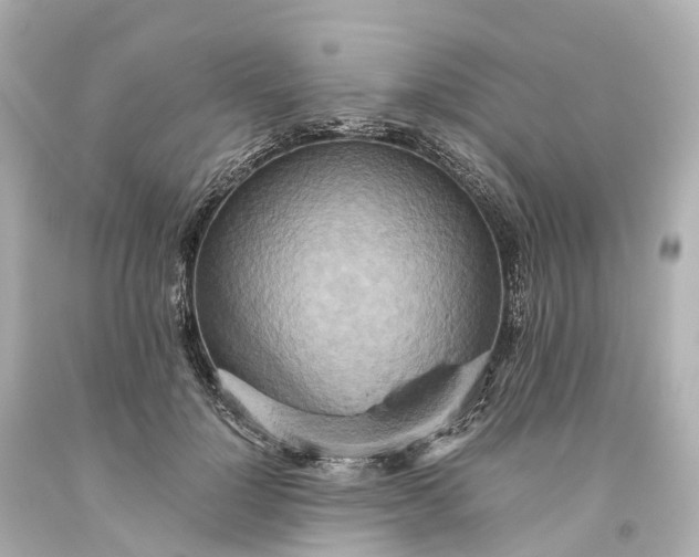 X0000093610748200710291205