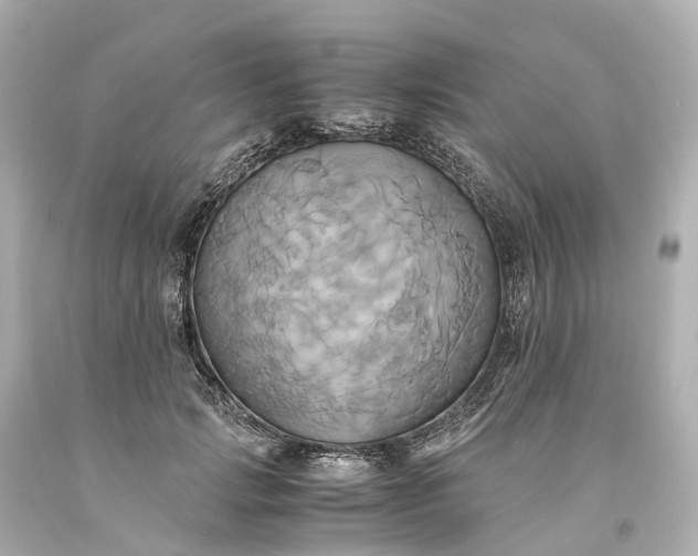 X0000093610749200710291205