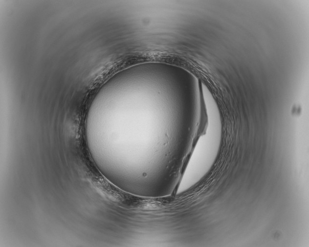 X0000093610750200710291205
