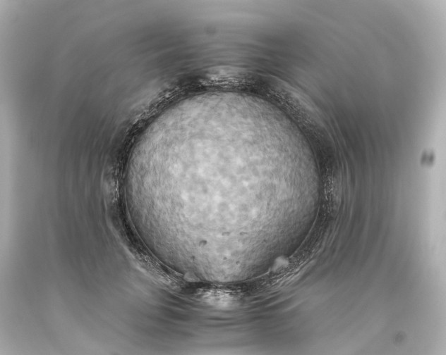 X0000093610751200710291205