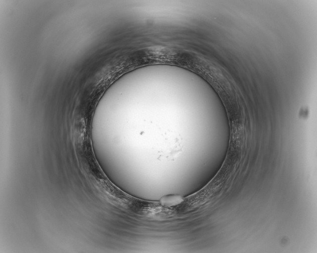 X0000093610752200710291205