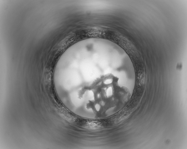 X0000093610753200710291205