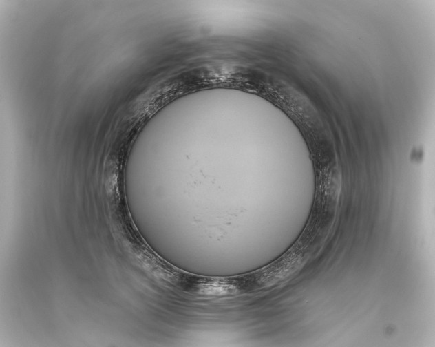 X0000093610754200710291205