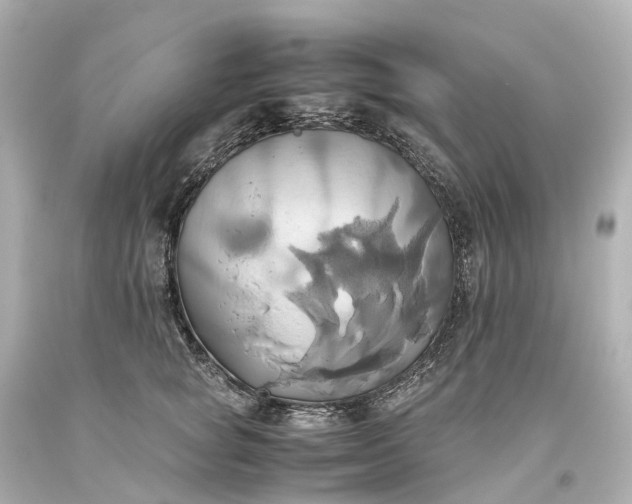 X0000093610757200710291205