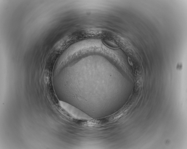 X0000093610758200710291205