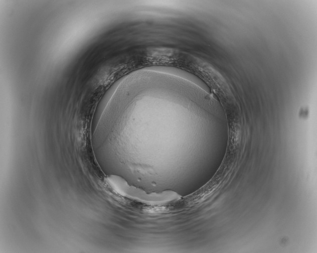 X0000093610759200710291205