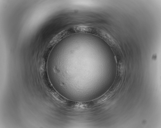 X0000093610760200710291205