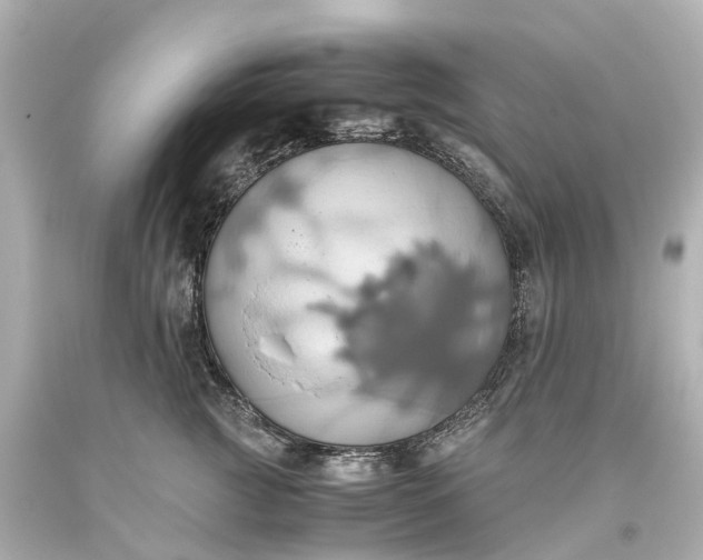 X0000093610761200710291205