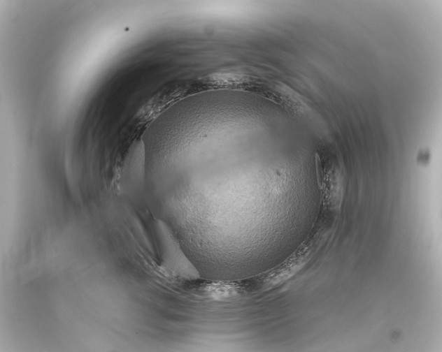 X0000093610762200710291205