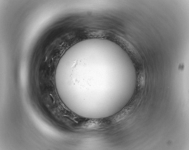 X0000093610764200710291205