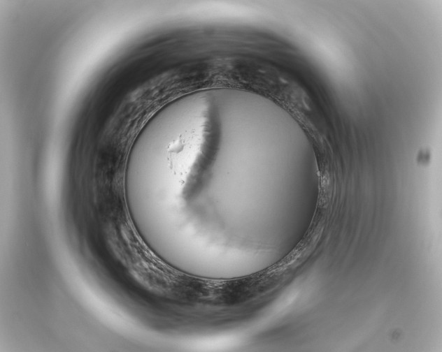 X0000093610765200710291205
