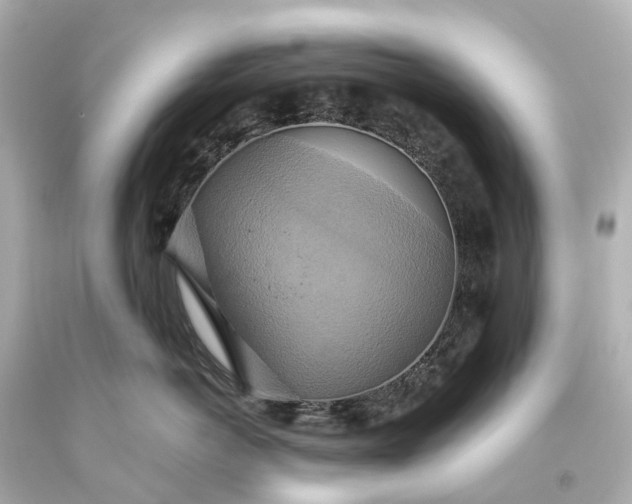 X0000093610766200710291205