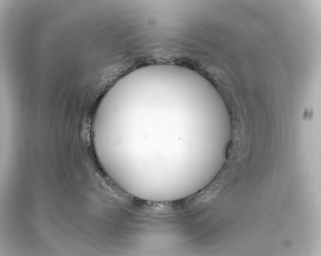 X0000093610768200710291205