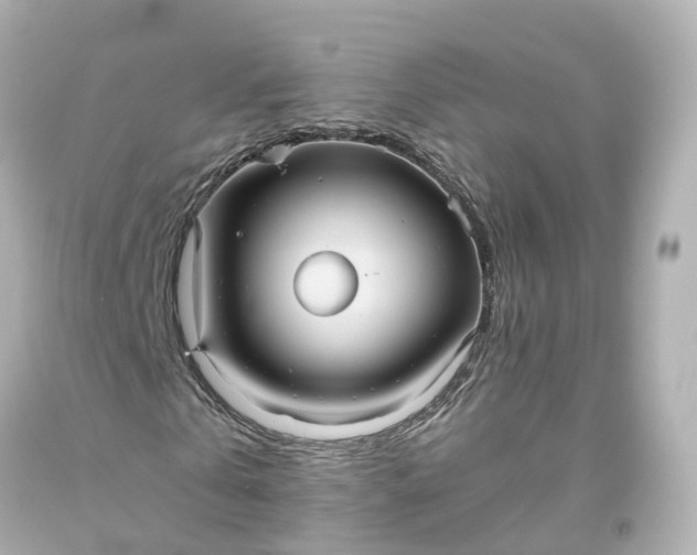 X0000093610769200710291204