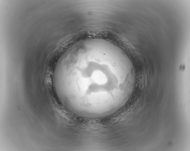 X0000093610770200710291204