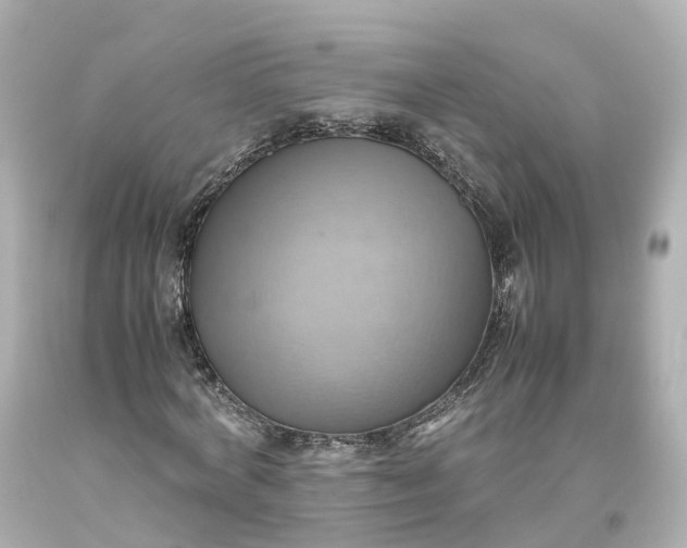 X0000093610772200710291204