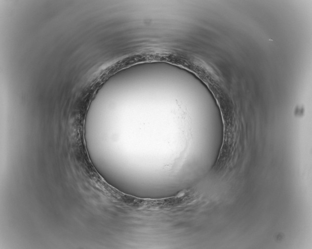 X0000093610773200710291204