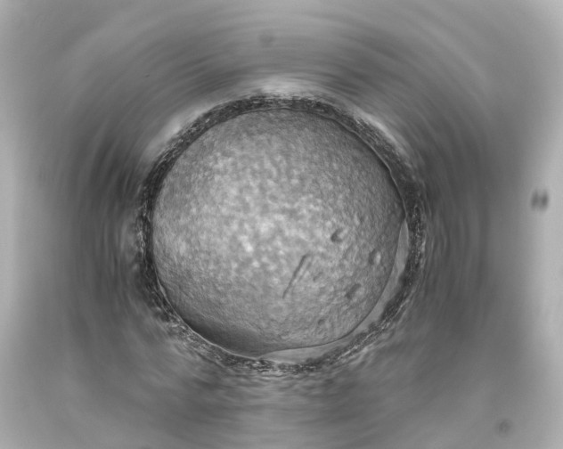 X0000093610776200710291204