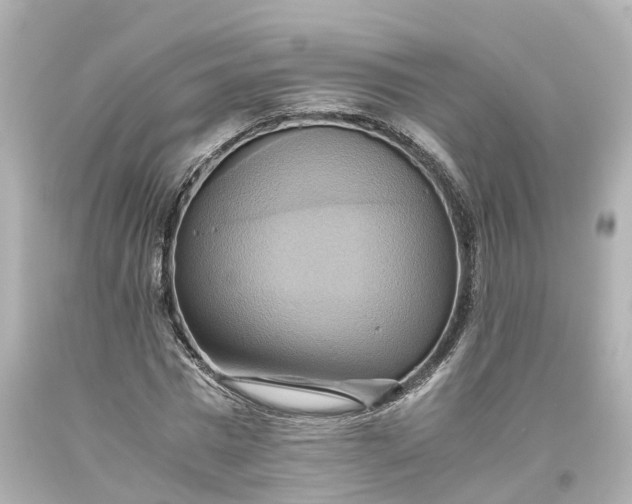 X0000093610777200710291204