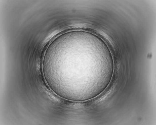 X0000093610778200710291204
