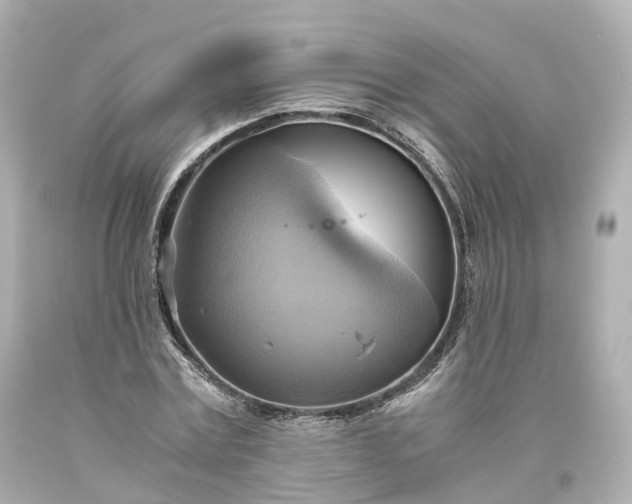 X0000093610779200710291204