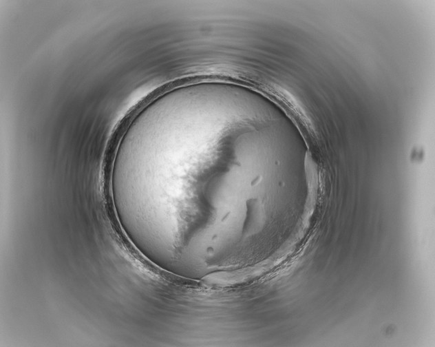 X0000093610780200710291204